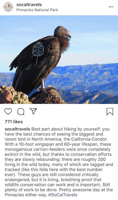 @socaltravels